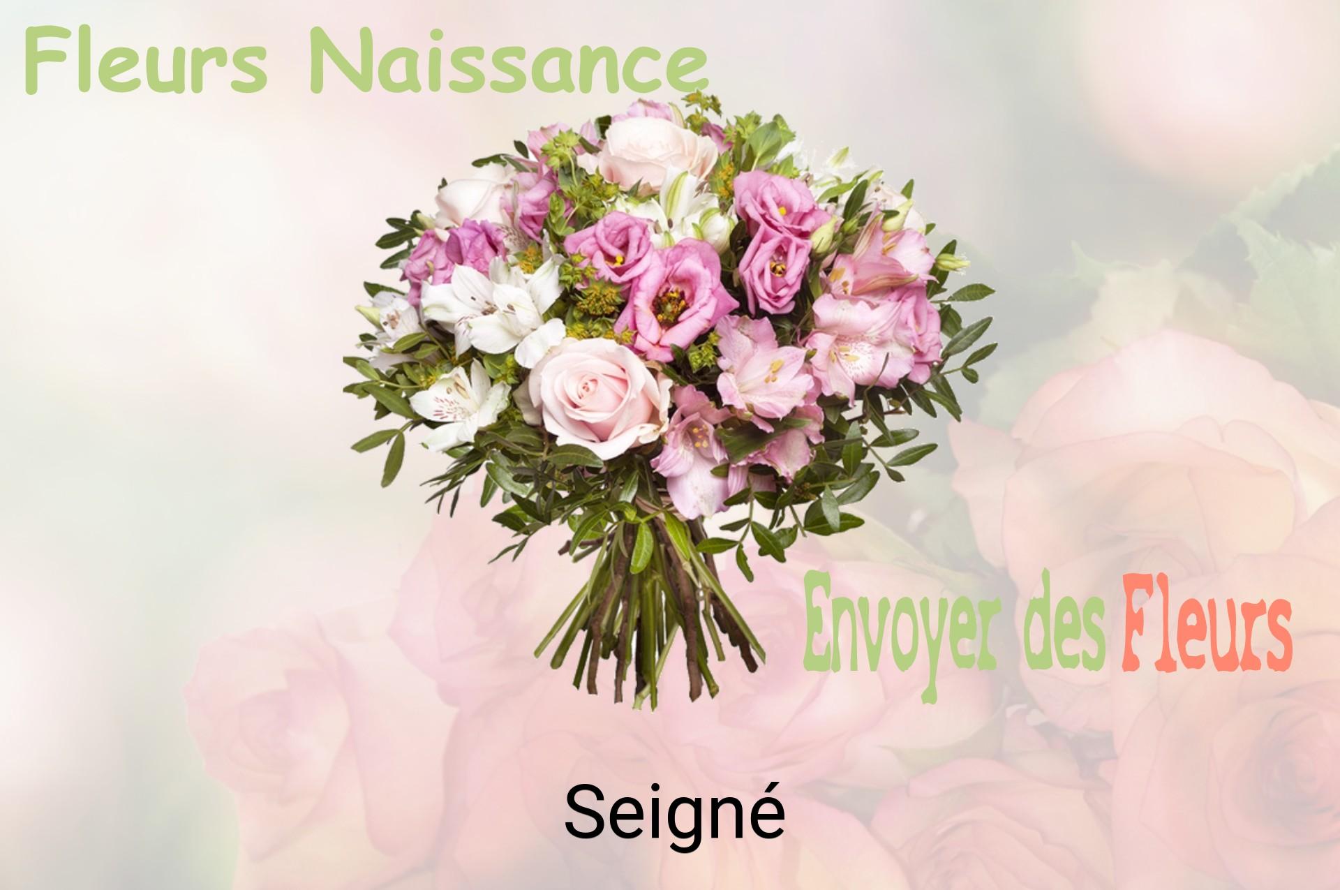 Bouquet de fleurs de naissance livré à Seigné